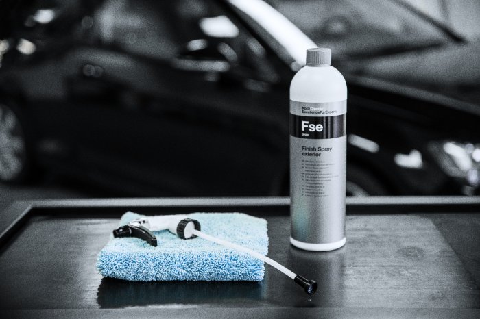 Odstraňovač zaschlých kapek vody Koch Finish Spray exterior 1 l-1