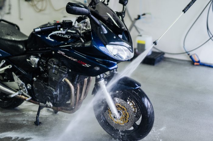 Odstraňovač hmyzu a nečistot Koch Insectdirtremover 10 kg-7